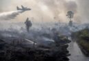 Asap mengepul di atas kawasan hutan dan lahan terbakar dengan pesawat pemadam beroperasi di kejauhan