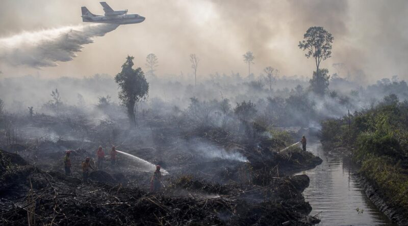 Asap mengepul di atas kawasan hutan dan lahan terbakar dengan pesawat pemadam beroperasi di kejauhan
