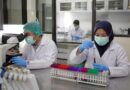 Petugas laboratorium memeriksa sampel influenza dalam pemantauan kesehatan masyarakat