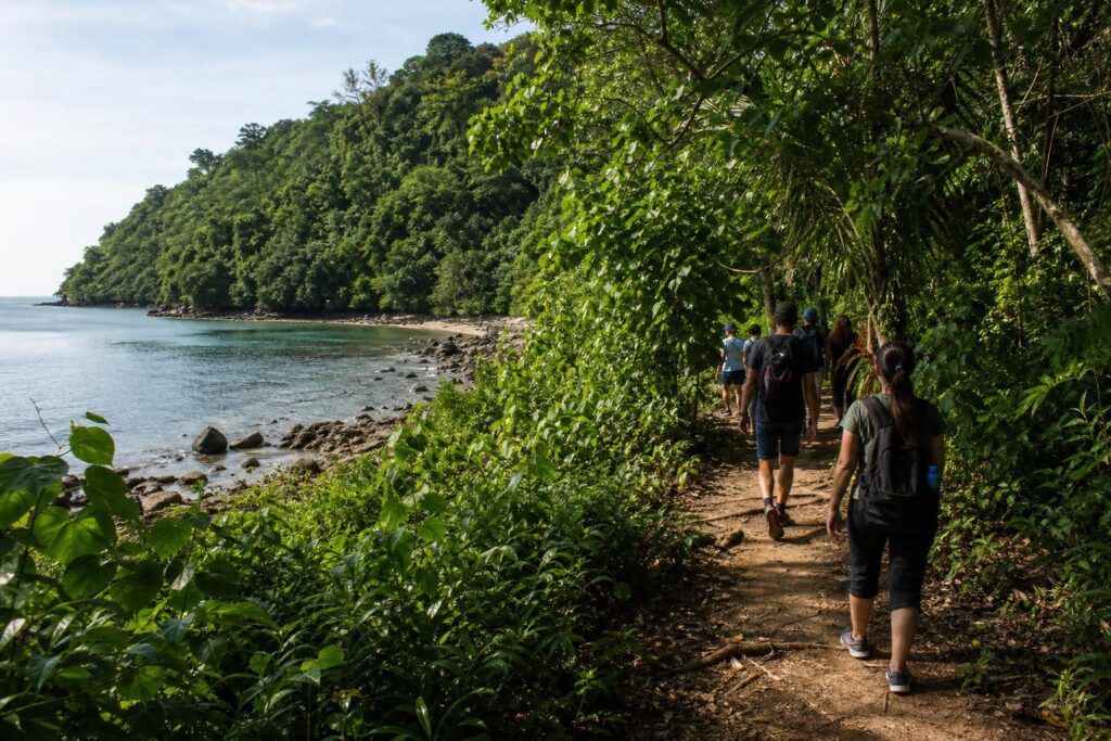 Pengunjung berjalan di jalur resmi kawasan konservasi dengan latar hutan tropis dan pesisir