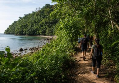 Pengunjung berjalan di jalur resmi kawasan konservasi dengan latar hutan tropis dan pesisir