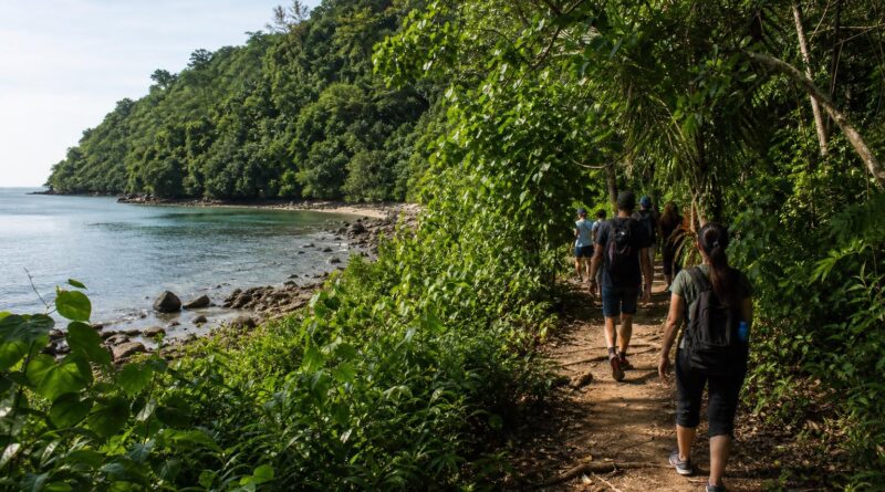 Pengunjung berjalan di jalur resmi kawasan konservasi dengan latar hutan tropis dan pesisir