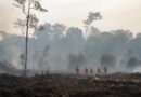 Lahan dan hutan di Kalimantan Barat tertutup kabut asap dengan aktivitas penanganan kebakaran di kejauhan
