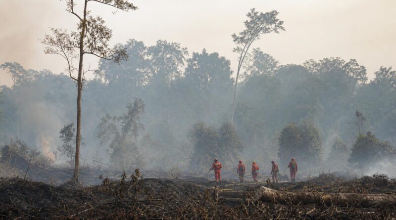 Lahan dan hutan di Kalimantan Barat tertutup kabut asap dengan aktivitas penanganan kebakaran di kejauhan