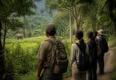 Wisatawan didampingi ranger mengamati satwa liar dari jalur yang ditentukan di kawasan konservasi