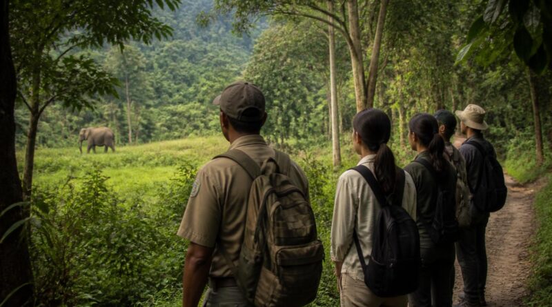 Wisatawan didampingi ranger mengamati satwa liar dari jalur yang ditentukan di kawasan konservasi