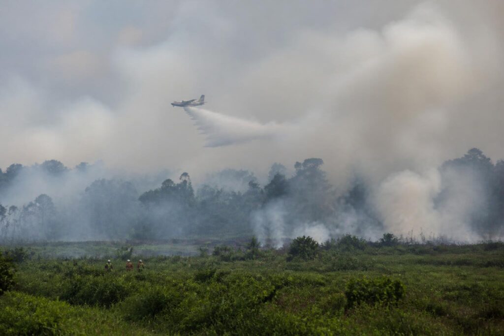 Kabut asap dari kebakaran hutan menyelimuti lanskap tropis Asia Tenggara