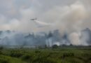 Kabut asap dari kebakaran hutan menyelimuti lanskap tropis Asia Tenggara