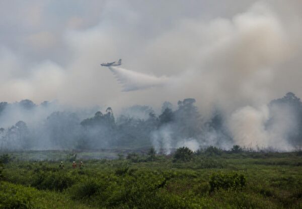 Kabut asap dari kebakaran hutan menyelimuti lanskap tropis Asia Tenggara