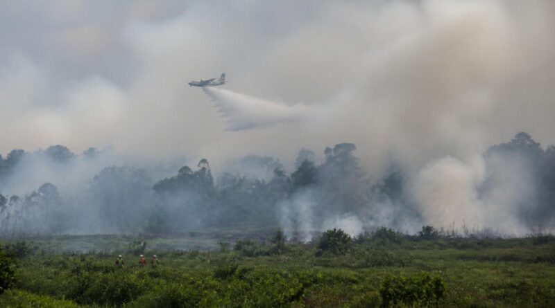 Kabut asap dari kebakaran hutan menyelimuti lanskap tropis Asia Tenggara