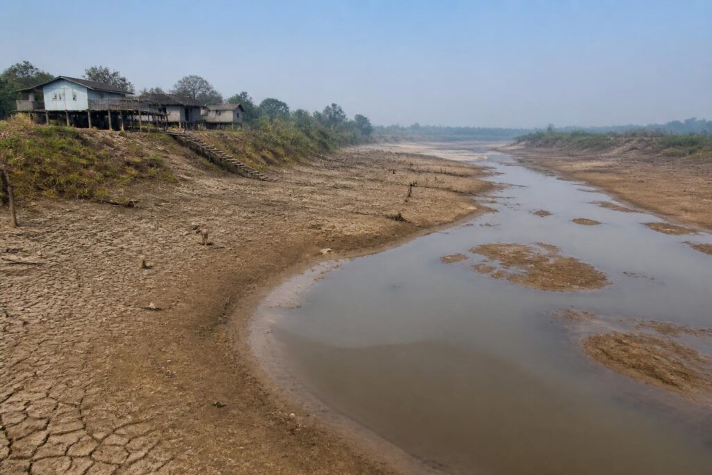 Sungai yang menyusut dan berlumpur di kawasan desa terdampak kekeringan di Kapuas, Kalimantan Tengah