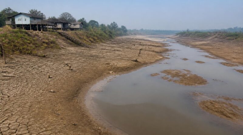 Sungai yang menyusut dan berlumpur di kawasan desa terdampak kekeringan di Kapuas, Kalimantan Tengah