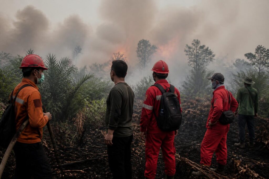 Petugas memantau area lahan terbakar yang tertutup kabut asap di Indonesia