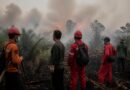 Petugas memantau area lahan terbakar yang tertutup kabut asap di Indonesia