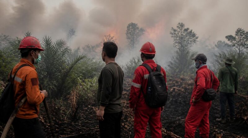 Petugas memantau area lahan terbakar yang tertutup kabut asap di Indonesia
